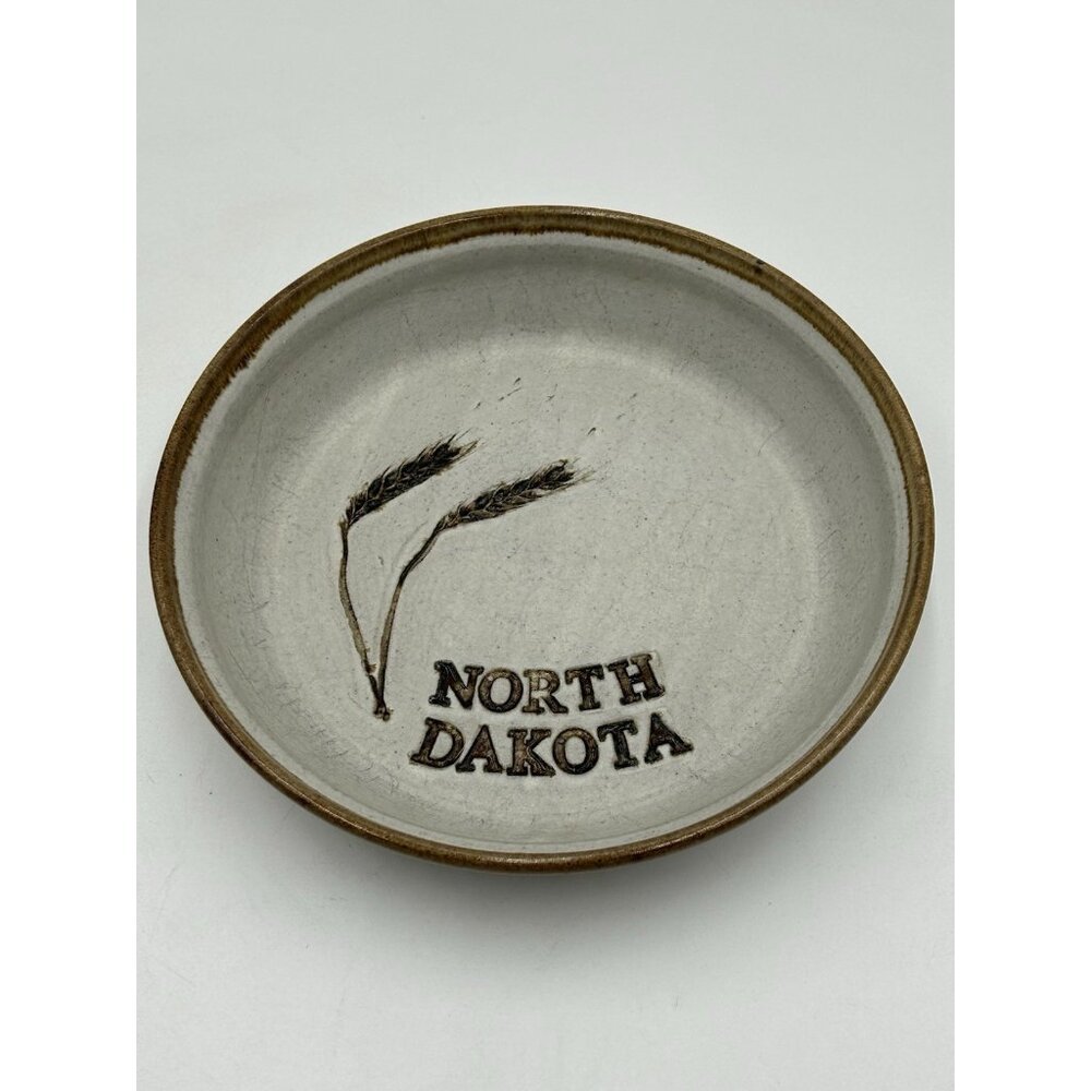 Vintage Stoneware Art Pottery Salt Glaze Mixing Baron Bowl North Dakota 9" Brown